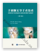 手和腕关节手术技术（第3版）