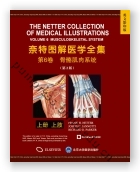 奈特图解医学全集：第6卷 骨骼肌肉系统疾病（第2版）(影印）