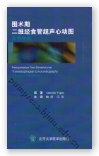 围术期二维经食管超声心动图实用手册