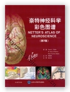 奈特神经科学彩色图谱（第3版）