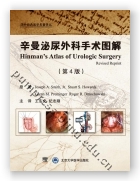 辛曼泌尿外科手术图谱（第4版）