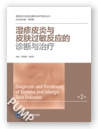 湿疹皮炎与皮肤过敏反应的诊断与治疗（湿疹皮炎及皮肤过敏诊疗系列丛书）