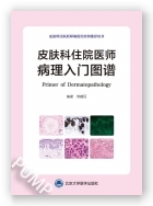 皮肤科住院医师病理入门图谱